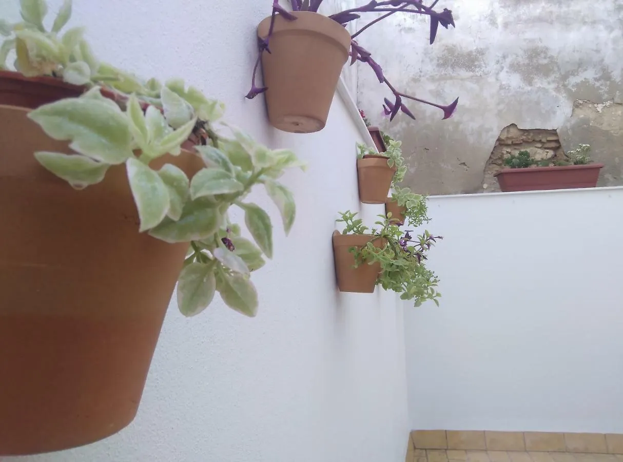 Apartamento Palo Cortao Jerez de la Frontera